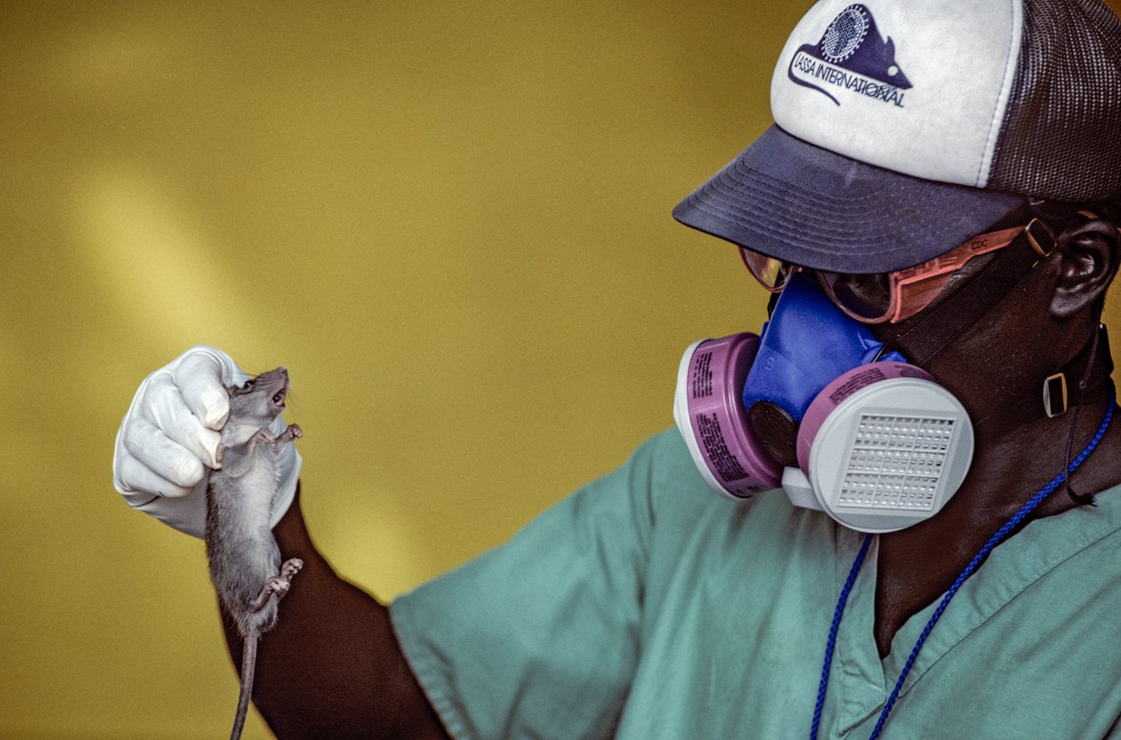 Lab Technician Holding a Lassa Rat and Wears a Face Mask to Prevent Getting Lassa Fever by Karen Kasmauski
