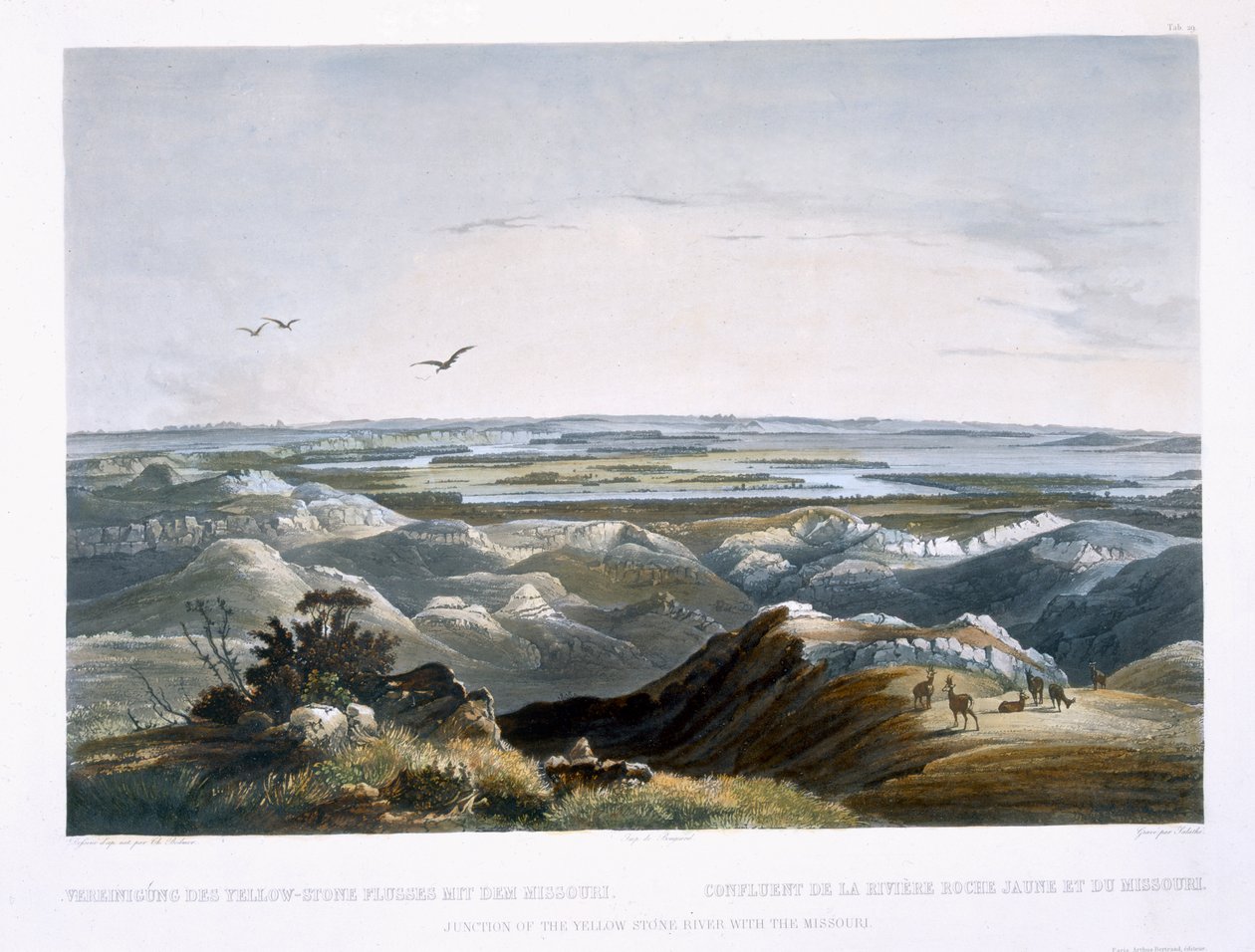 Junction of the Yellow Stone River with the Missouri, plate 29 from Volume 2 of 