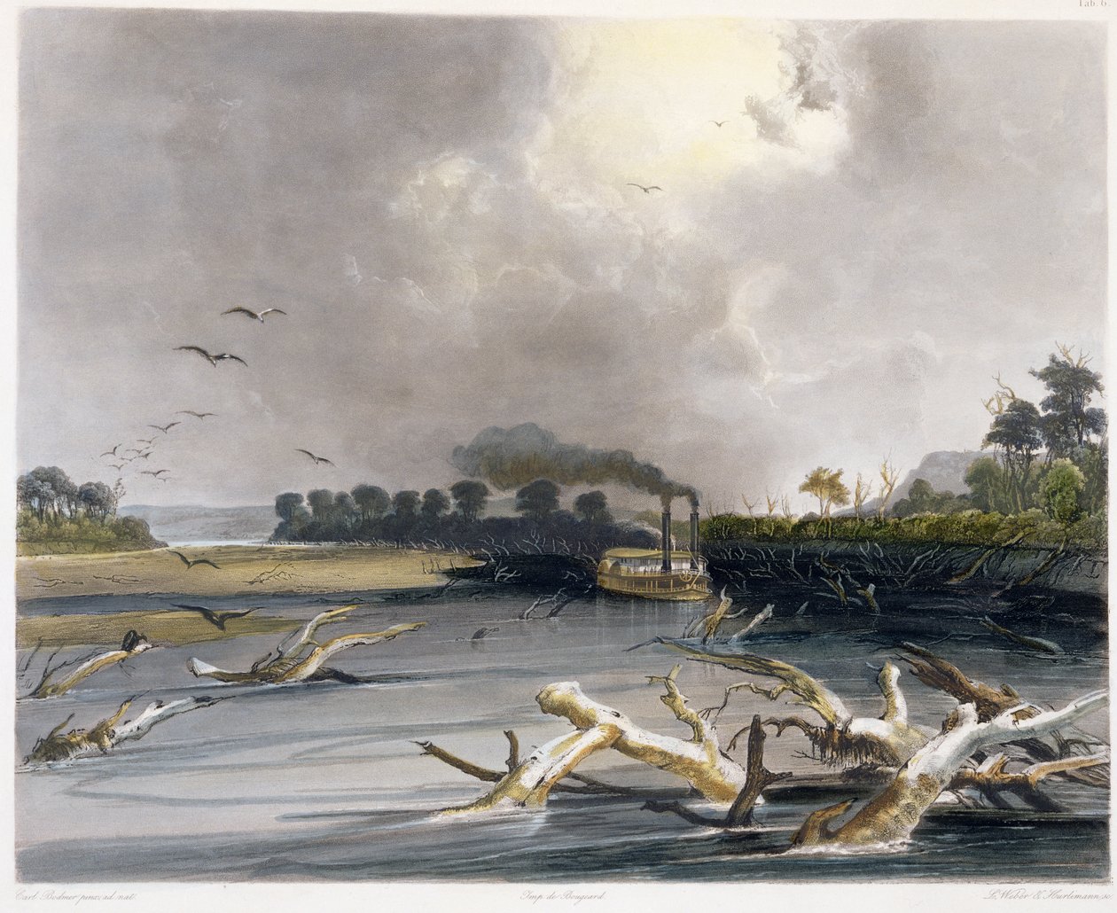 Snags (sunken trees) on the Missouri, plate 6 from Volume 2 of 