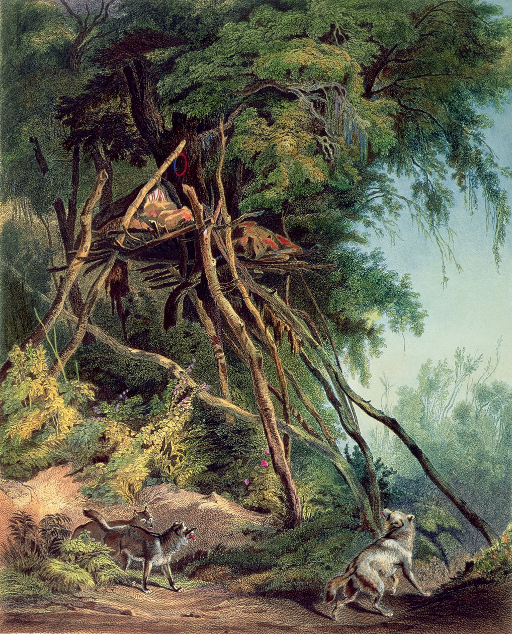 Tombs of Assiniboin Indians on Trees, plate 30 from volume 2 of 