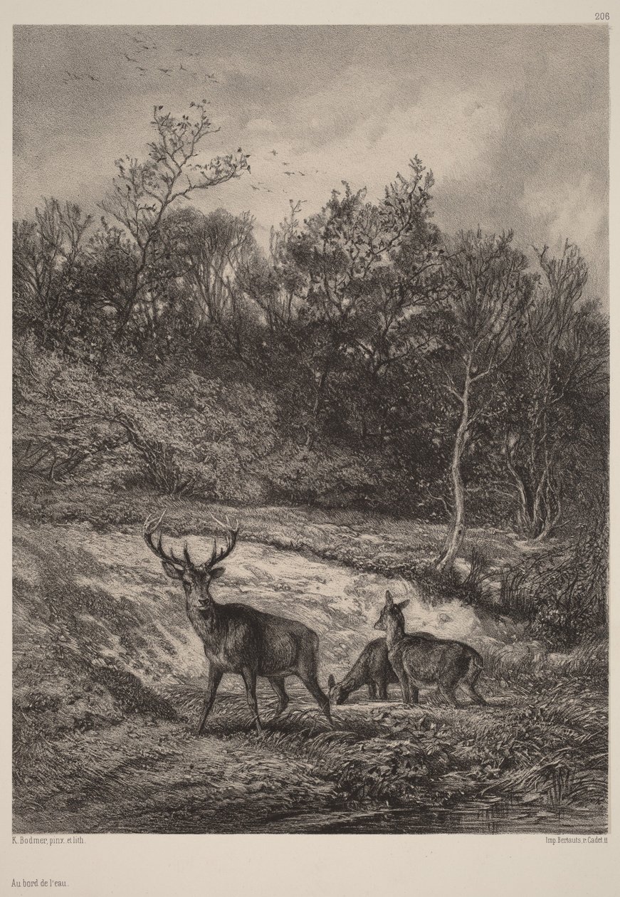 By the Water by Karl Bodmer