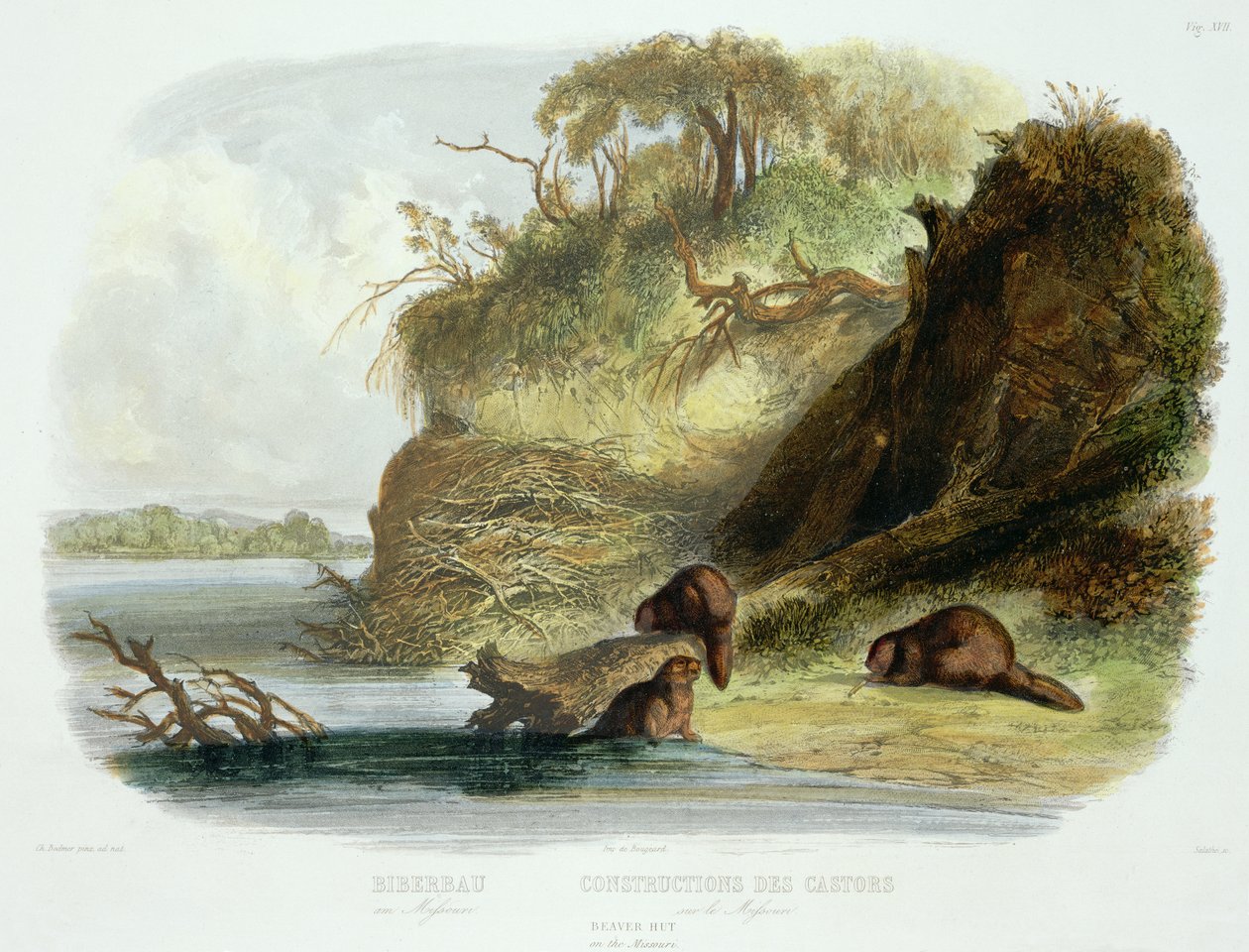 Beaver Hut on the Missouri, plate 17 from volume 1 of `Travels in the Interior of North America
