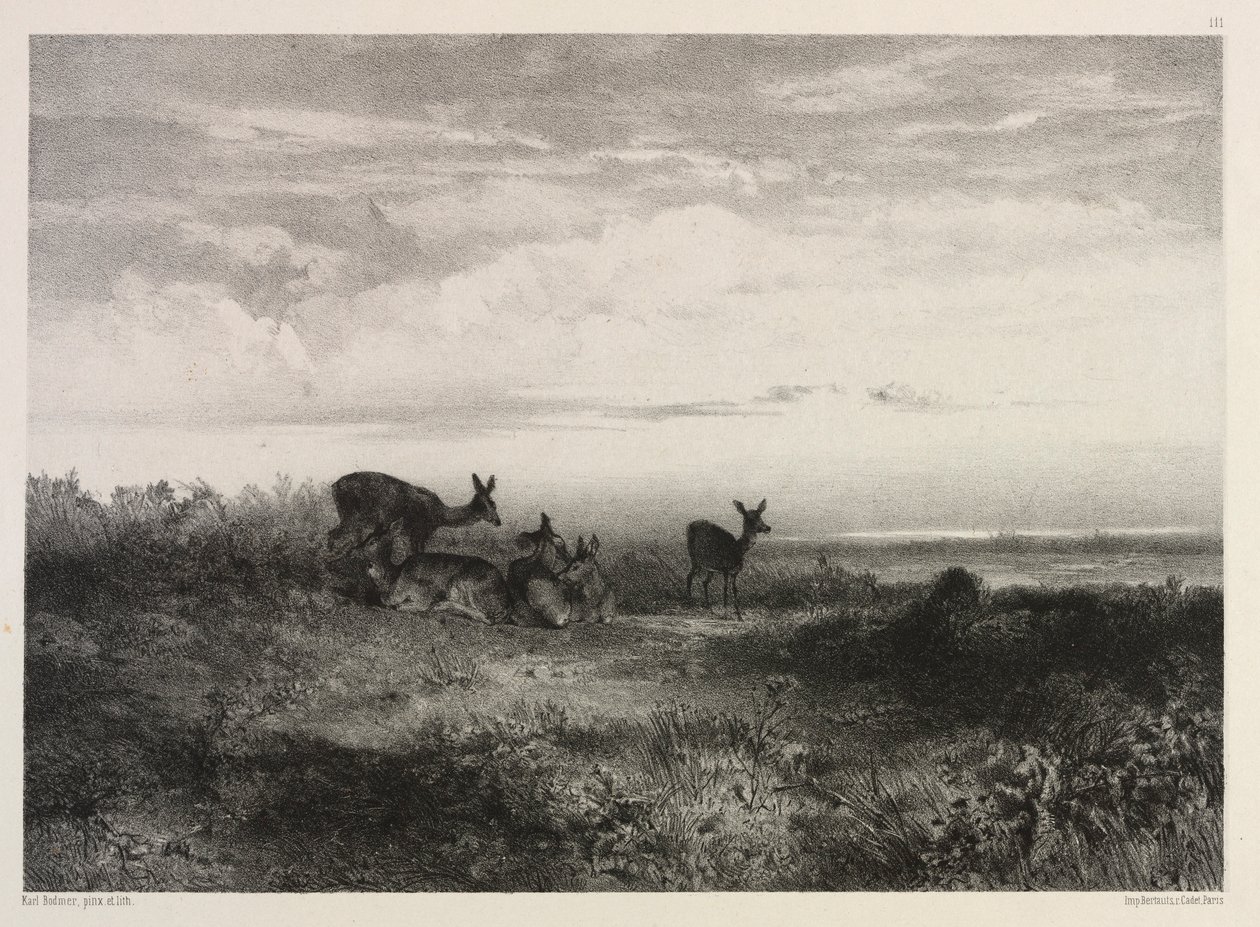 Landscape with Deer by Karl Bodmer