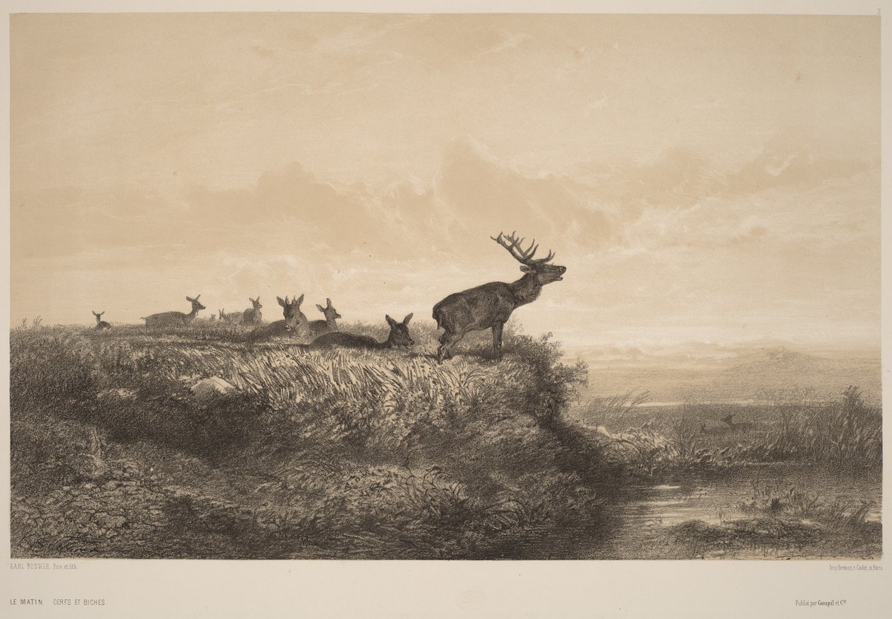 The Morning by Karl Bodmer