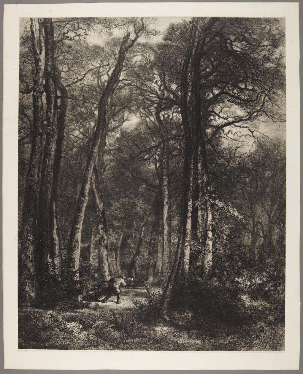 Man in Woods by Karl Bodmer