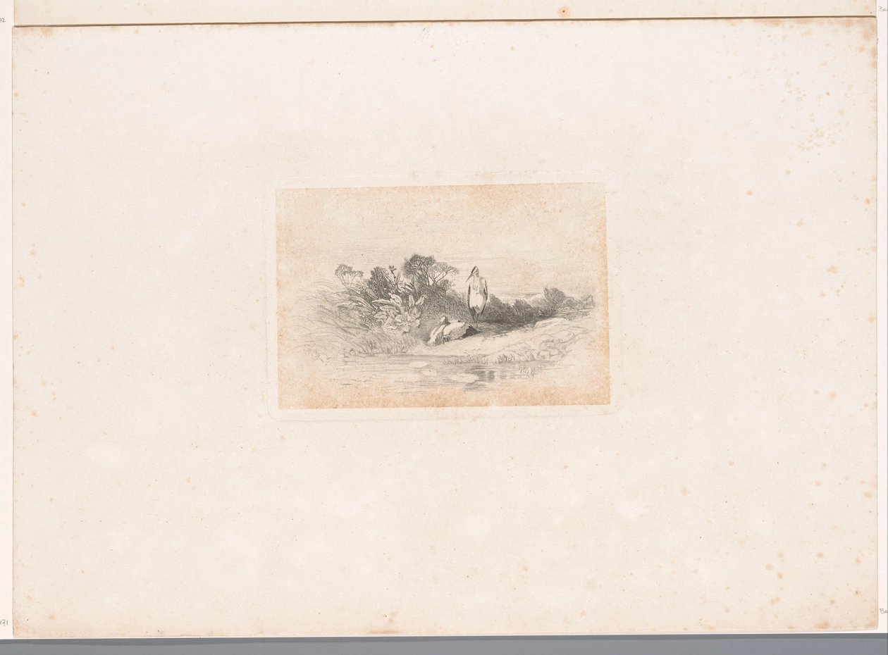 Two Herons by the Waterside (series title: Landscapes with Animals) by Karl Bodmer