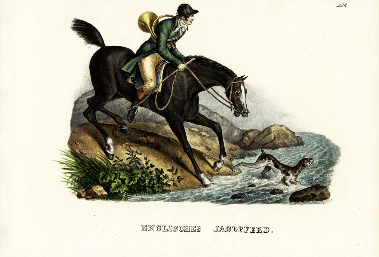 English Hunter Horse, 1824 by Karl Joseph Brodtmann
