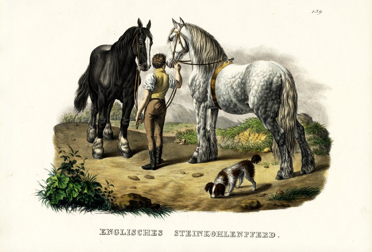 English Pit Horse, 1824 by Karl Joseph Brodtmann