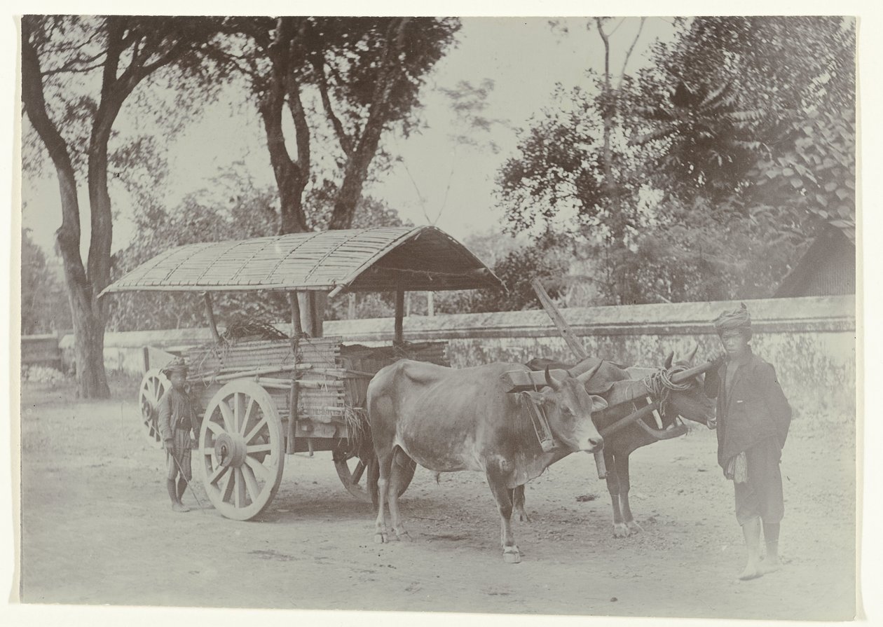 Two Javanese Boys with an Ox Cart Transporting Goods by Kassian Cephas