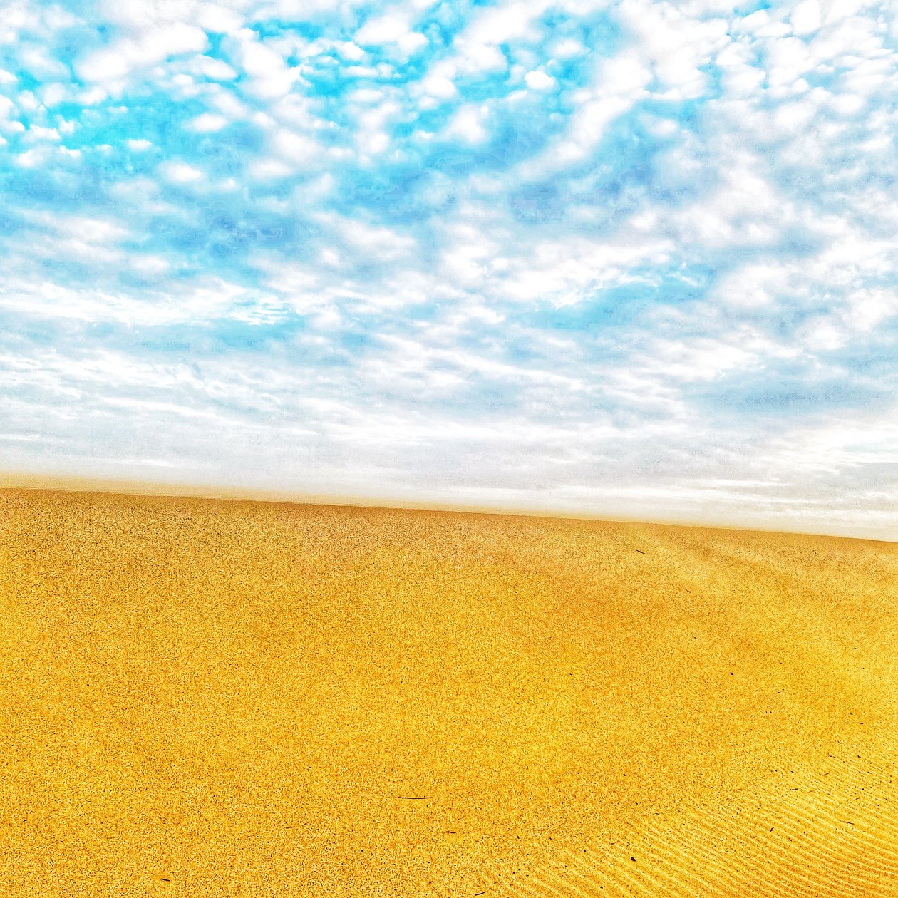 Surreal Desert Beach III by Katha Wood