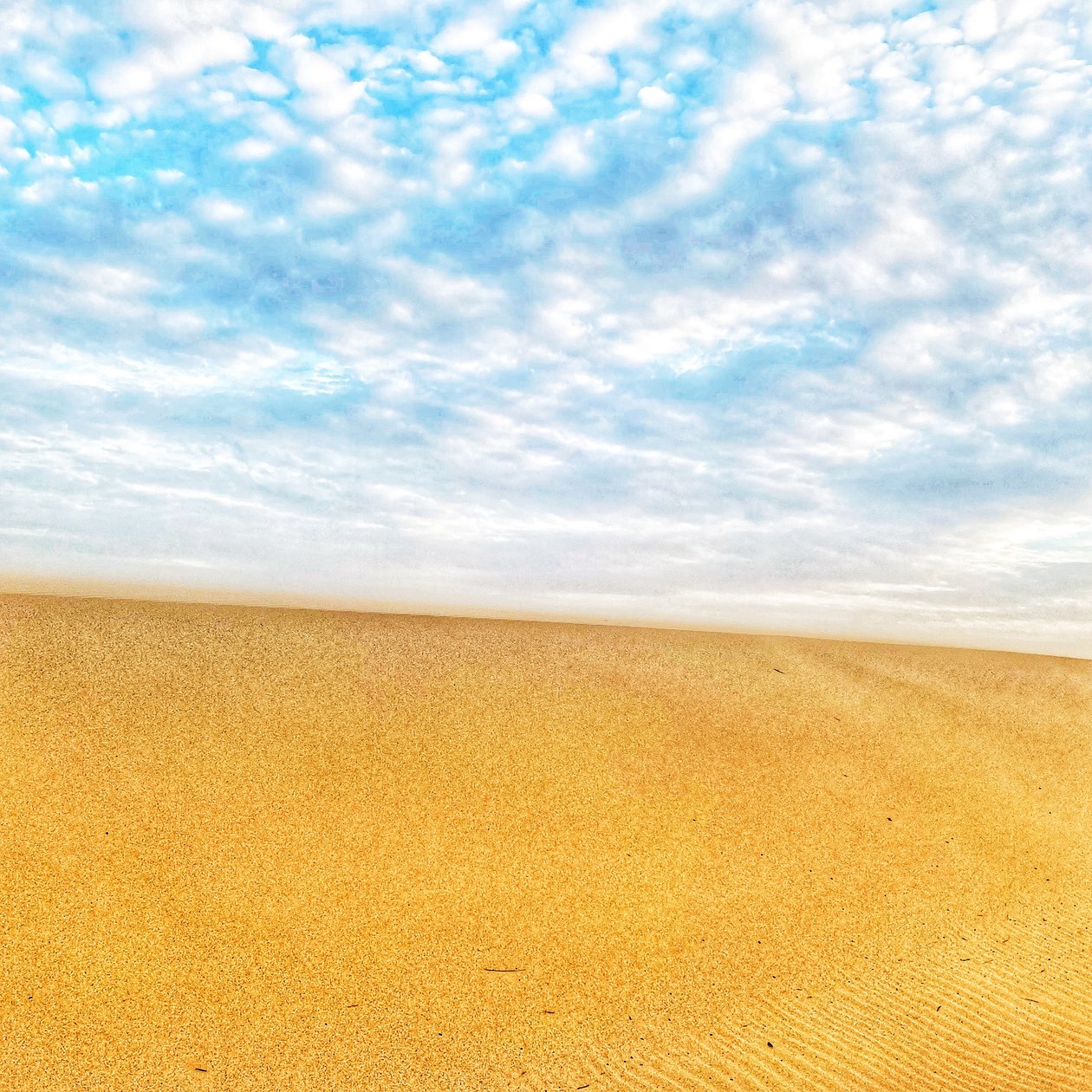 Surreal Desert Beach II by Katha Wood
