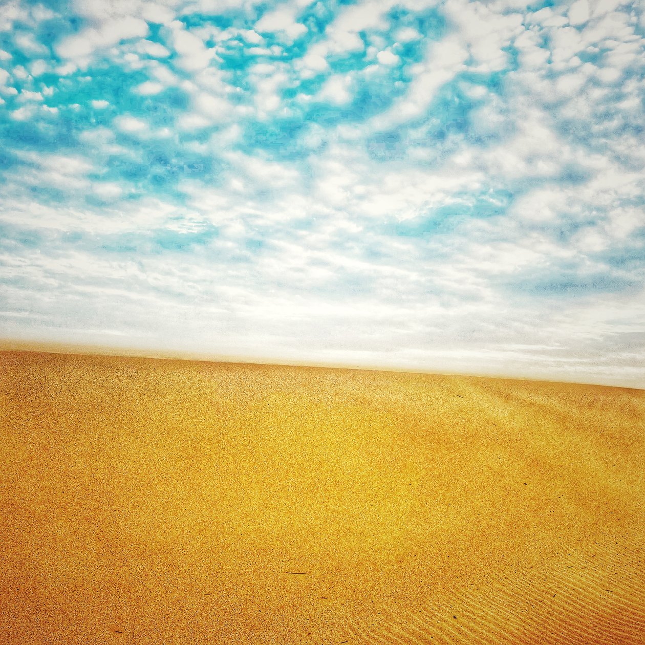Surreal Desert Beach IV by Katha Wood