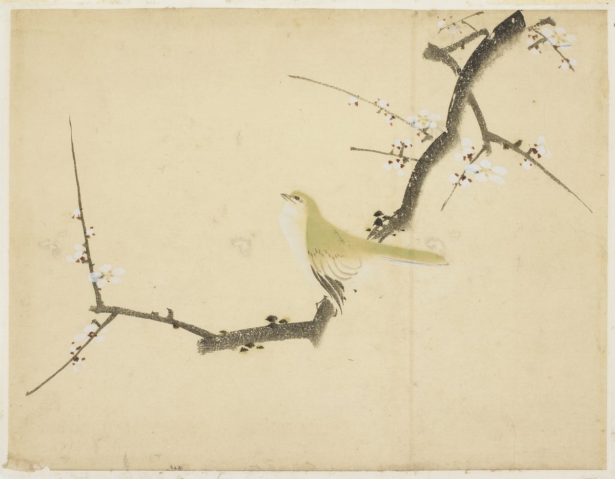 Nightingale on a Plum Branch by Katsushika (school of) Hokusai