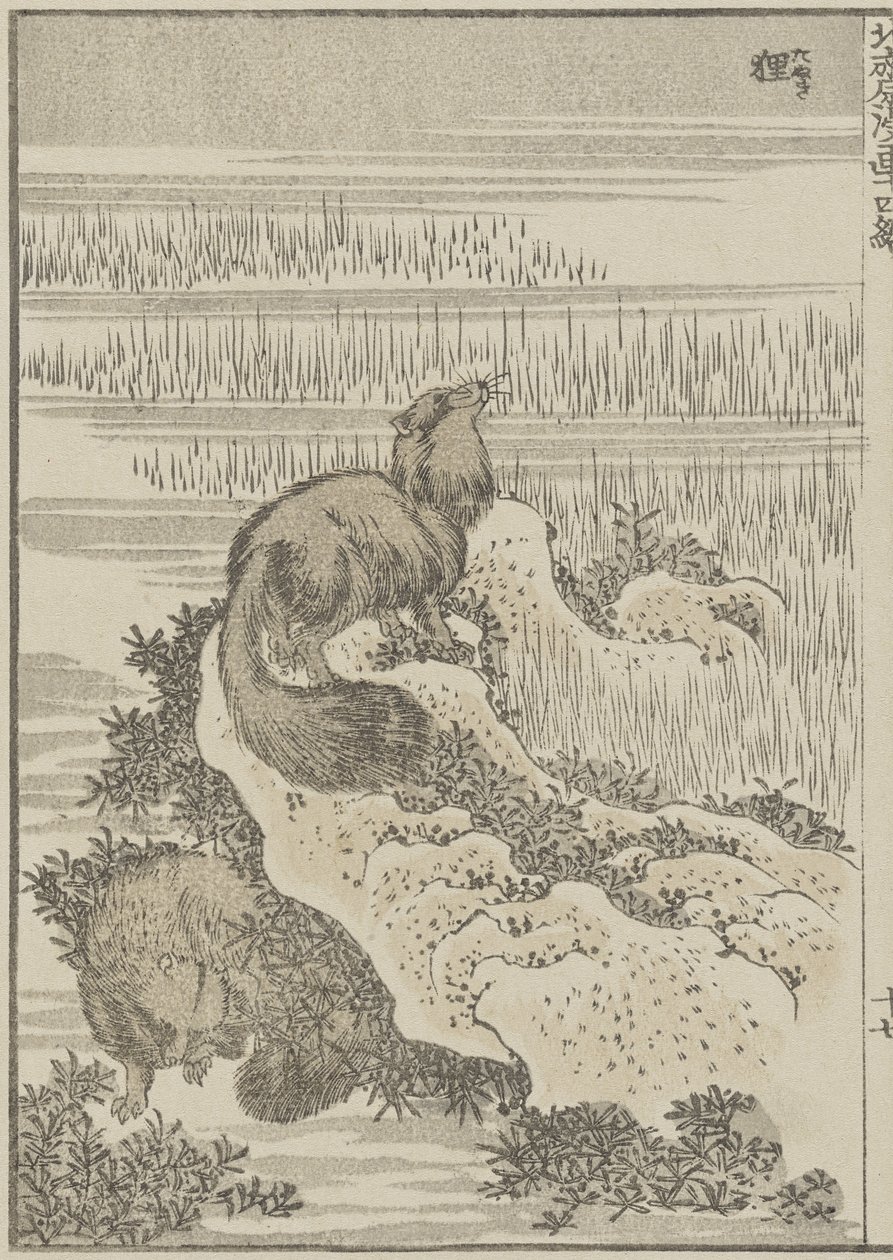 Badger by Katsushika Hokusai