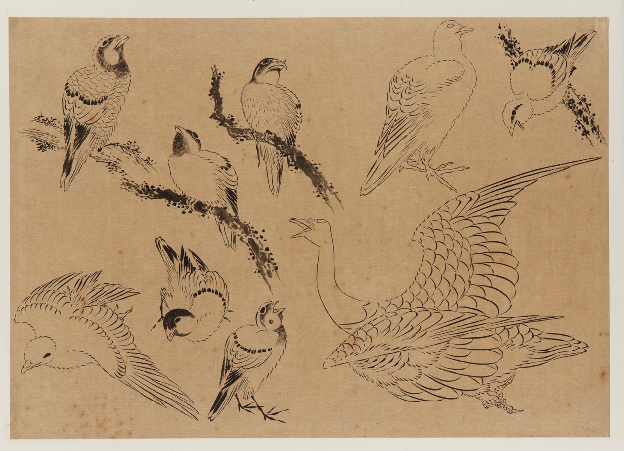 Birds by Katsushika Hokusai: High-quality fine art print