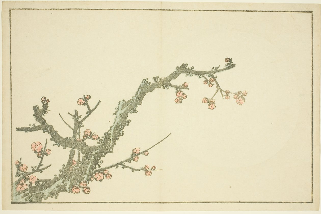 Blooming Plum Tree, from The Picture Book of Realistic Paintings of Hokusai by Katsushika Hokusai
