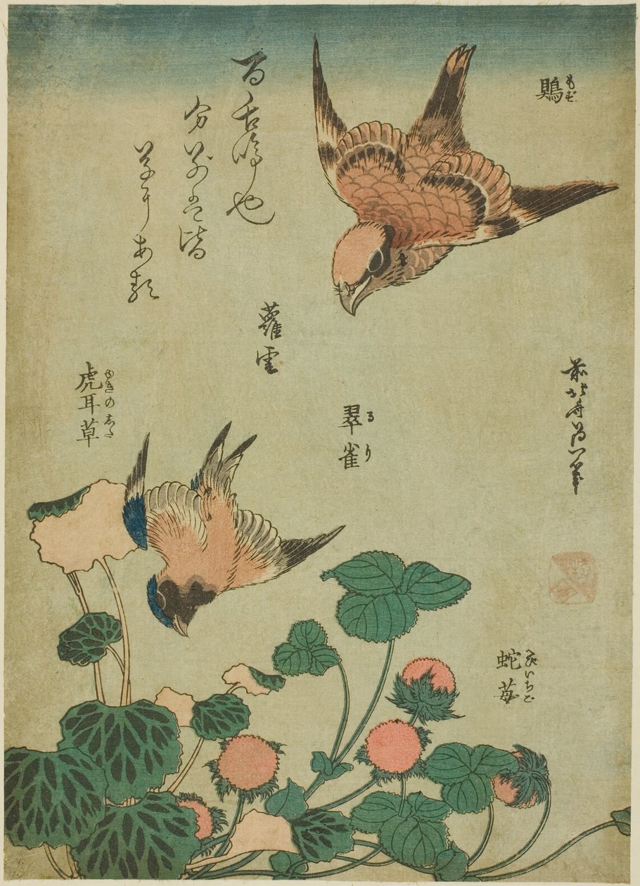 Bull-headed Shrike and Bluebird with Saxifrage and Wild Strawberry (Mozu, ruri, yukinoshita, hebi-ichigo), from an Untitled Series of Flowers and Birds by Katsushika Hokusai