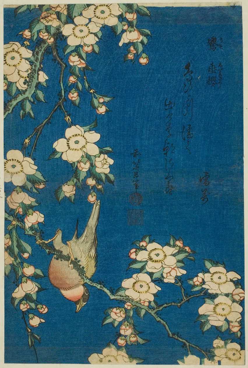 Bullfinch and Weeping Cherry, from an untitled series of flowers and birds by Katsushika Hokusai