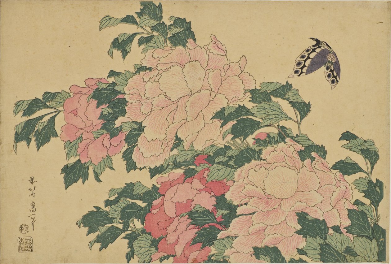 Butterfly and Peonies by Katsushika Hokusai