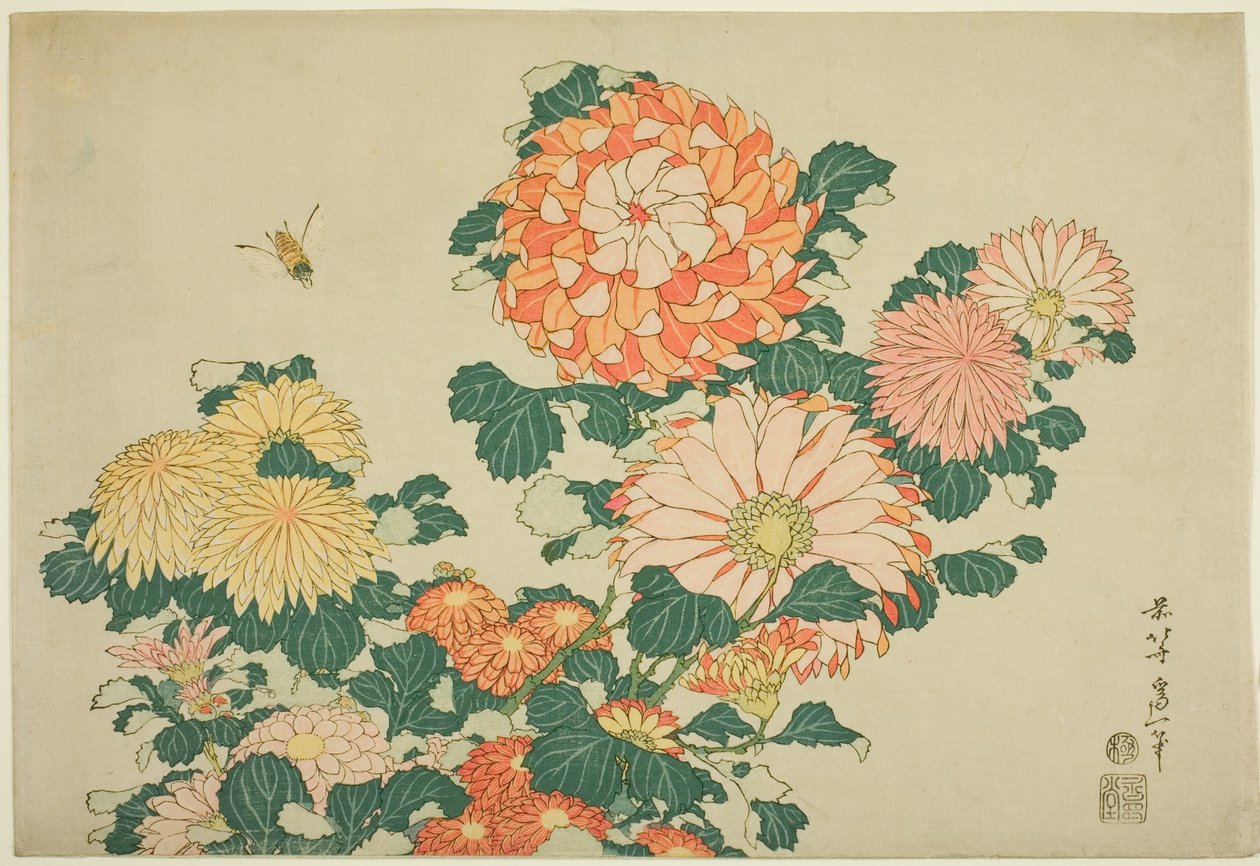 Chrysanthemums and Bee, from an Untitled Series of Large Flowers by Katsushika Hokusai