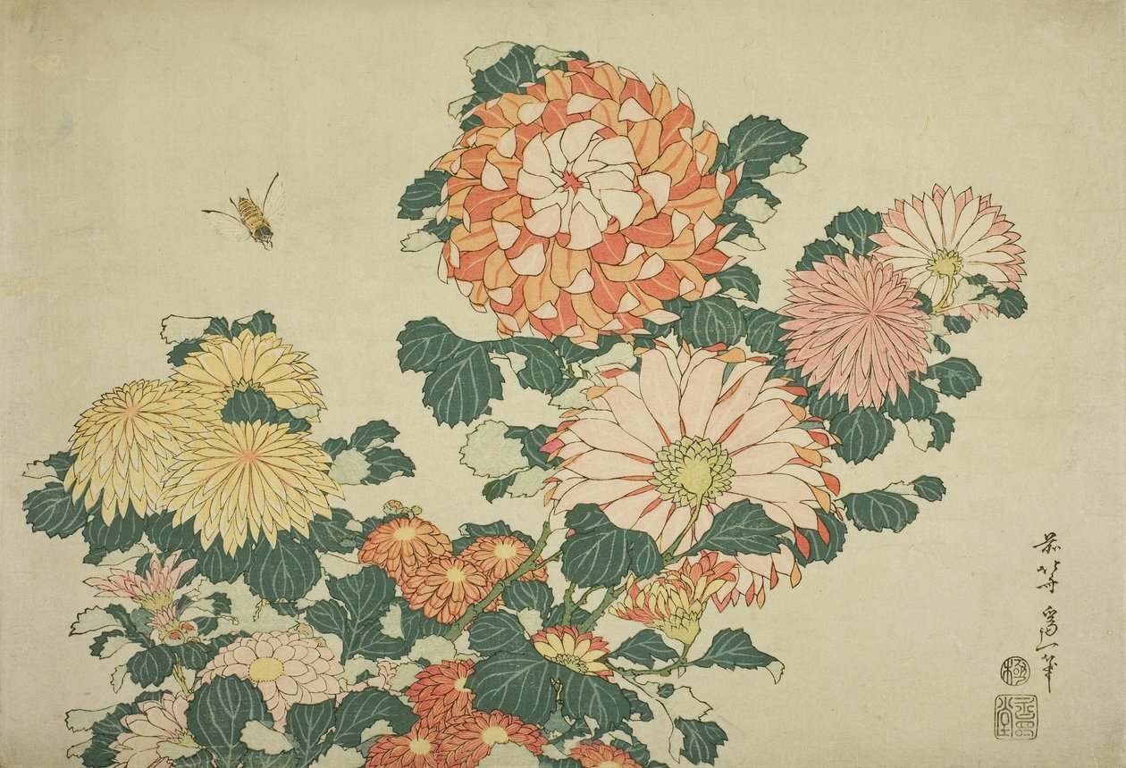 Chrysanthemums and Bee, from an Untitled Series of Large Flowers by Katsushika Hokusai