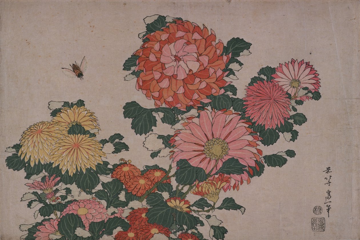 Chrysanthemums and Horse Fly by Katsushika Hokusai
