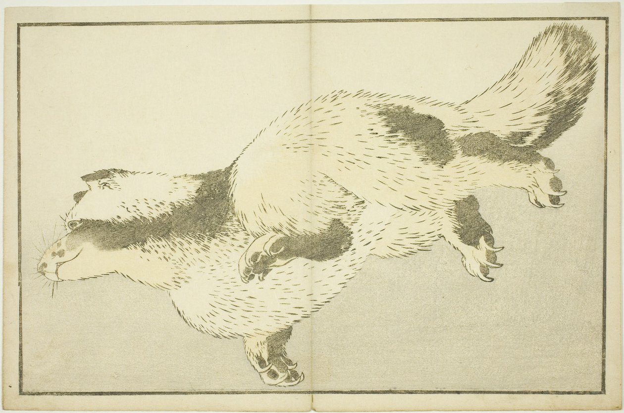 Fox, from The Picture Book of Realistic Paintings of Hokusai by Katsushika Hokusai