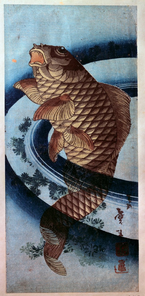 Japanese art: a carp. print by Katsushika Hokusai (1760-1849) 19th