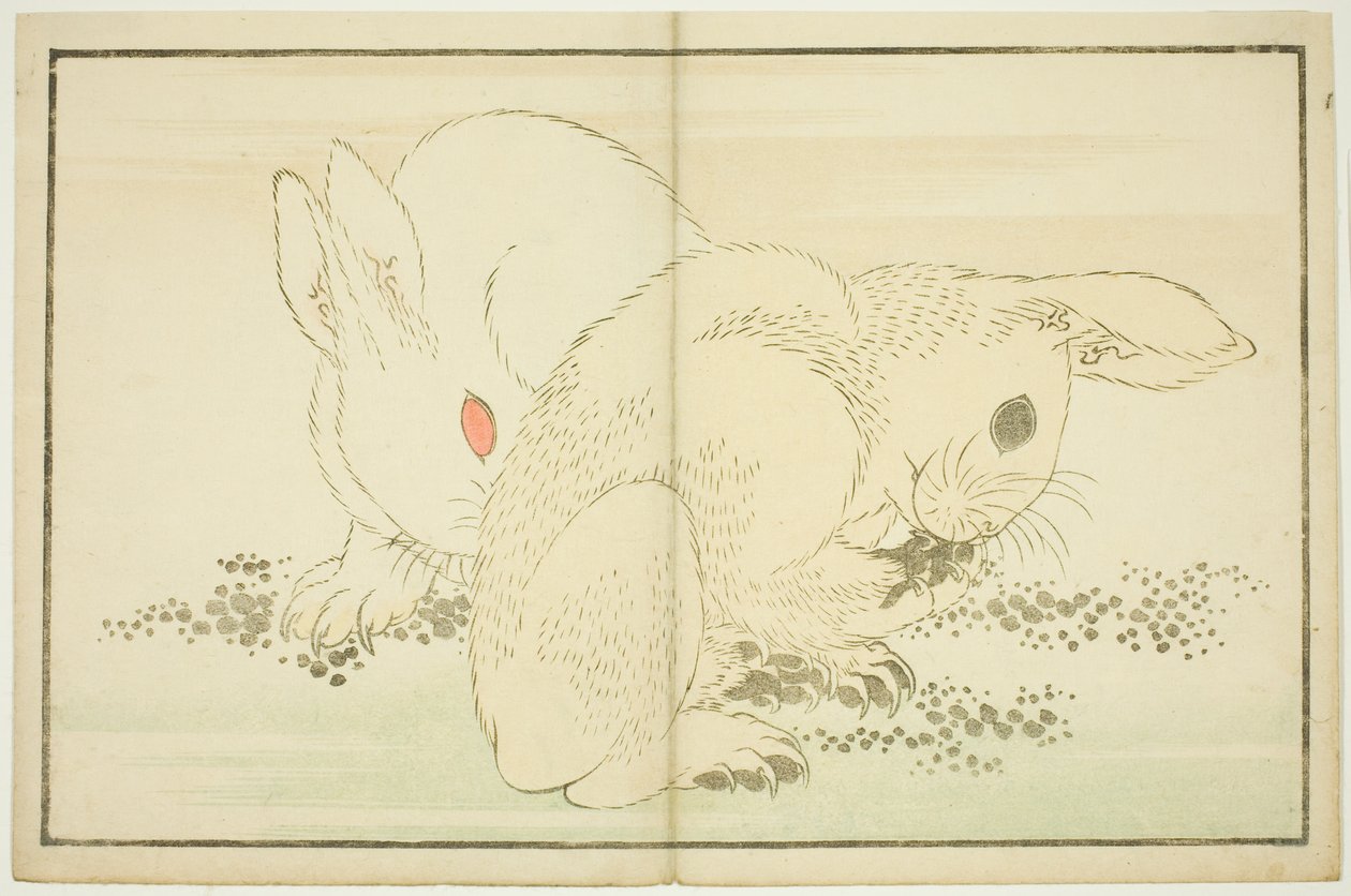 Two Rabbits, from The Picture Book of Realistic Paintings of Hokusai by Katsushika Hokusai