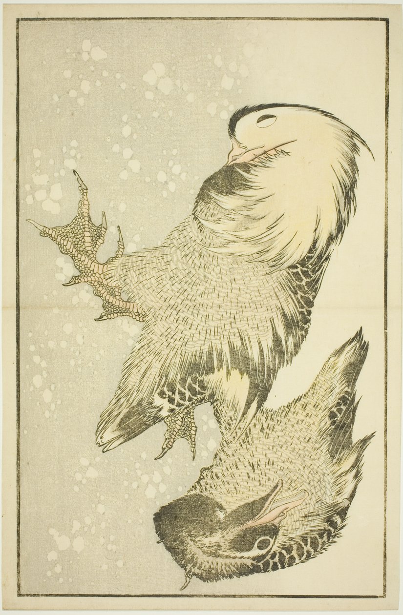 Two Waterfowl, from The Picture Book of Realistic Paintings of Hokusai by Katsushika Hokusai