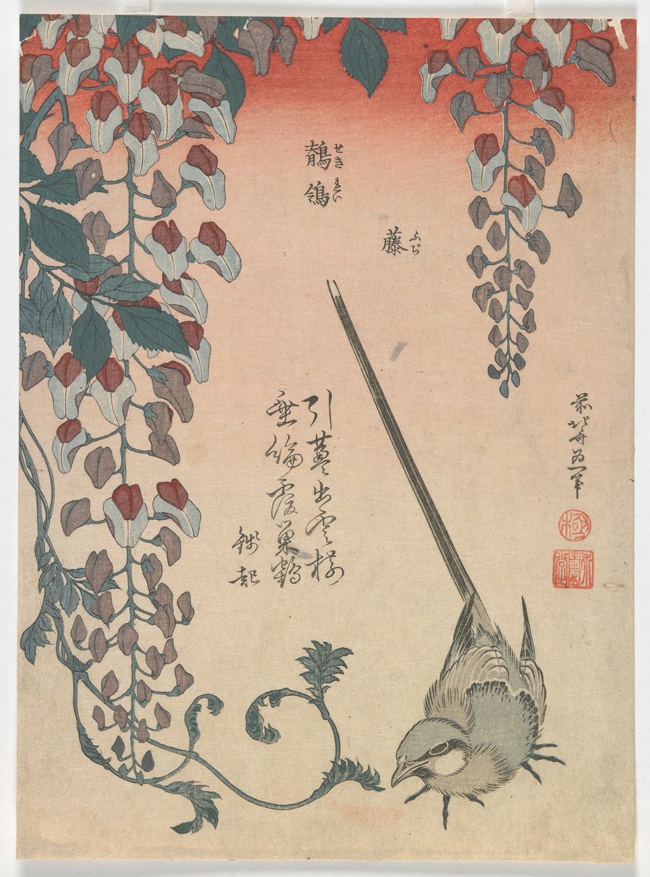 Wagtail and Wisteria, Edo Period by Katsushika Hokusai