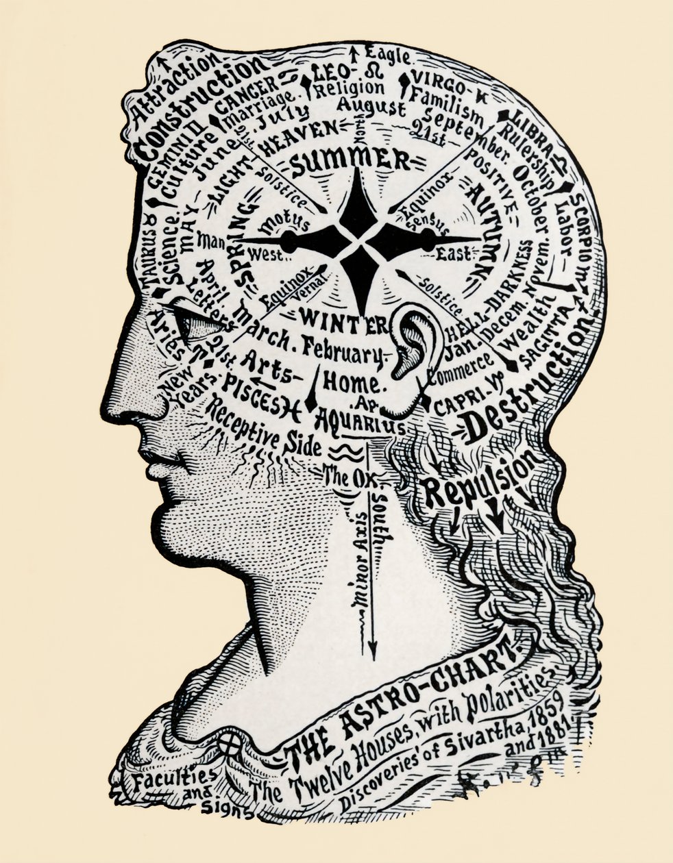 A Chart of the Human Head and Shoulders by Alec Hunter