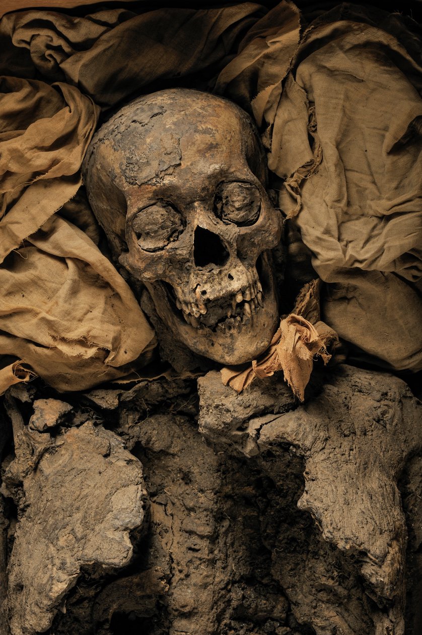 Mummy of Amenhotep III, King Tut