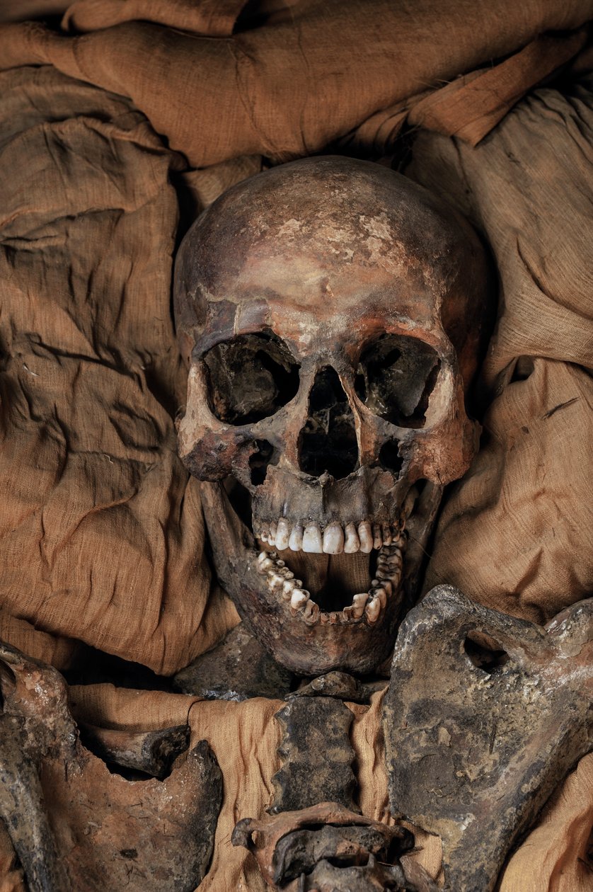 Mummy of King Tut