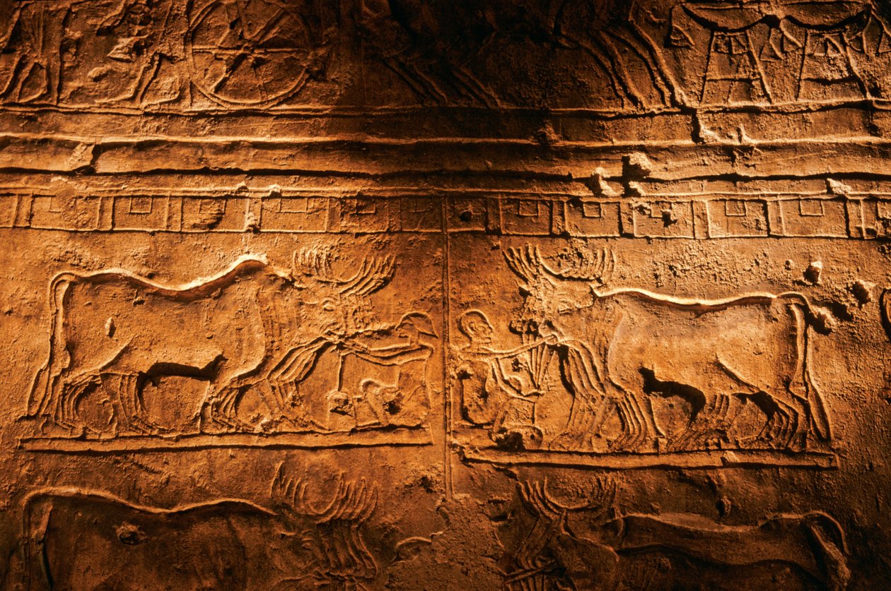 Relief from tomb of Meryre (Merera), High Priest of the Aten at Akhetaten by Kenneth Garrett