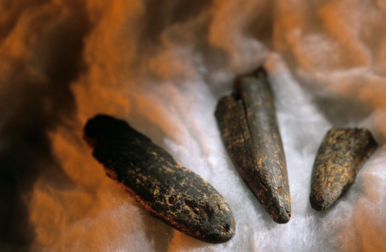Sharpened Bone Points Used for Digging, From Drimolean Site, Near Johannesburg, South Africa by Kenneth Garrett