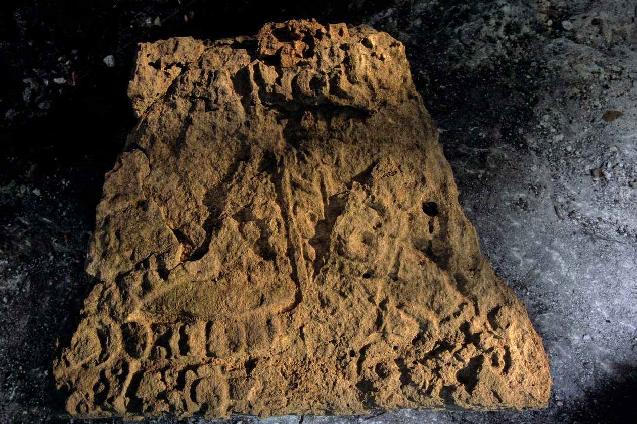 Stele, Sufricaya, Holmul, Guatemala, Maya, Francisco Estradabelli, 2008 by Kenneth Garrett