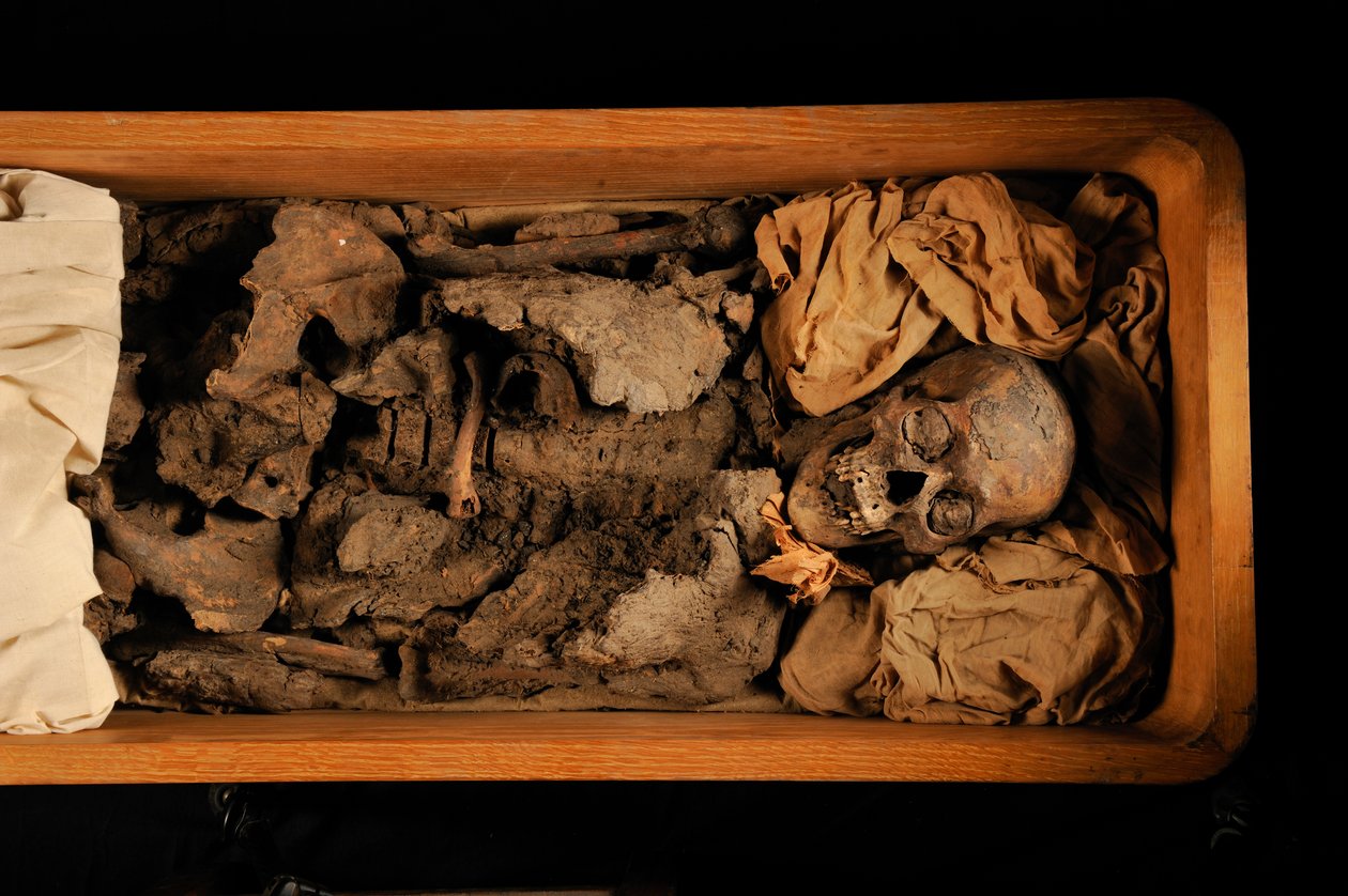 Tutankhamun; 18th Dynasty; New Kingdom; the Egyptian Museum; Cairo; DNA; Sample, 2005 by Kenneth Garrett