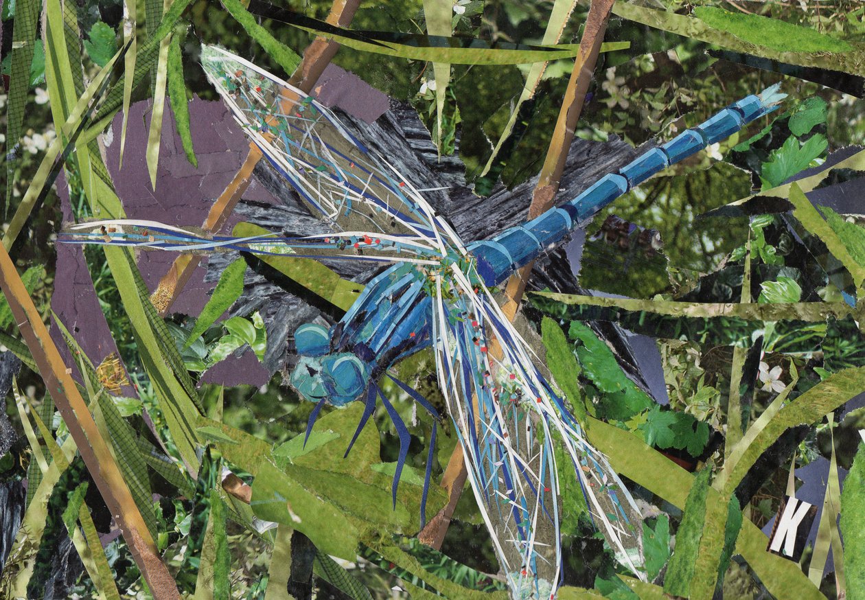 Blue Dragonfly by Kirstie Adamson: Premium art reproduction