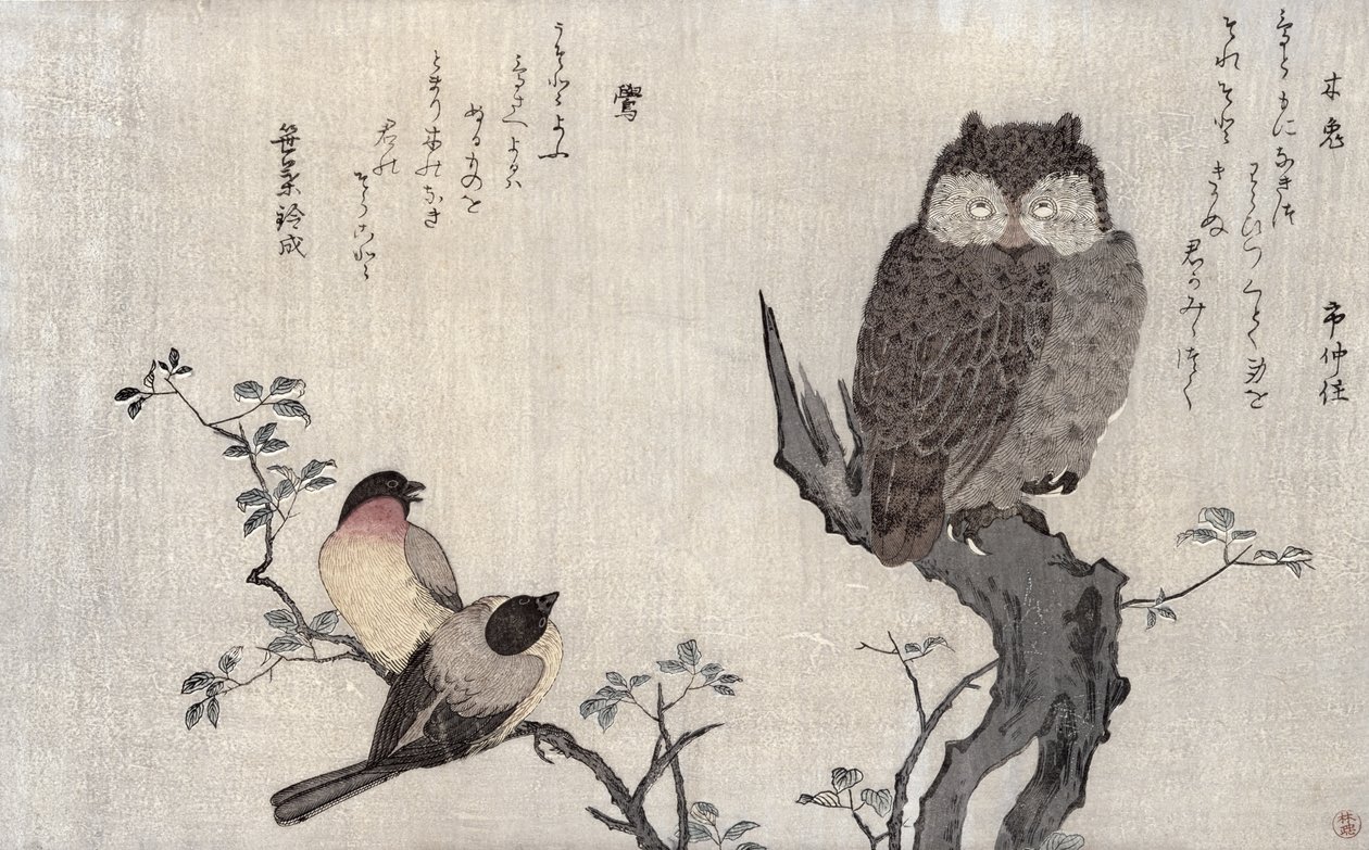 An Owl and two Eastern Bullfinches, from an album 