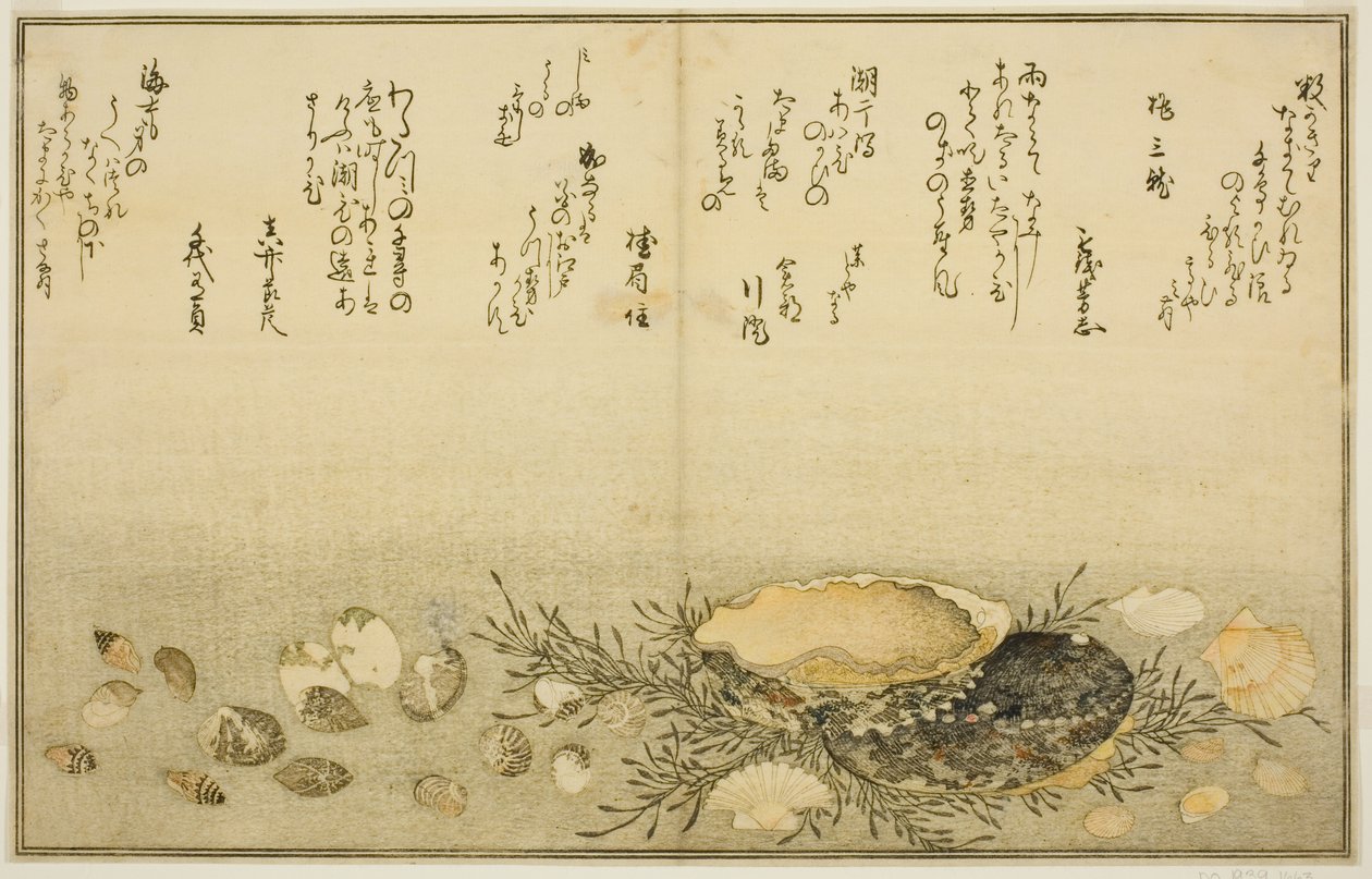 Chidori-gai, itaya-gai, awabi, utsuse-gai, asari-gai, and monoara-gai, from the illustrated book "Gifts from the Ebb Tide" by Kitagawa Utamaro