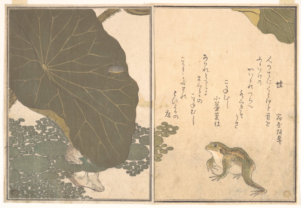 Frog; Gold Beetle, from the Picture Book of Crawling Creatures by Kitagawa Utamaro