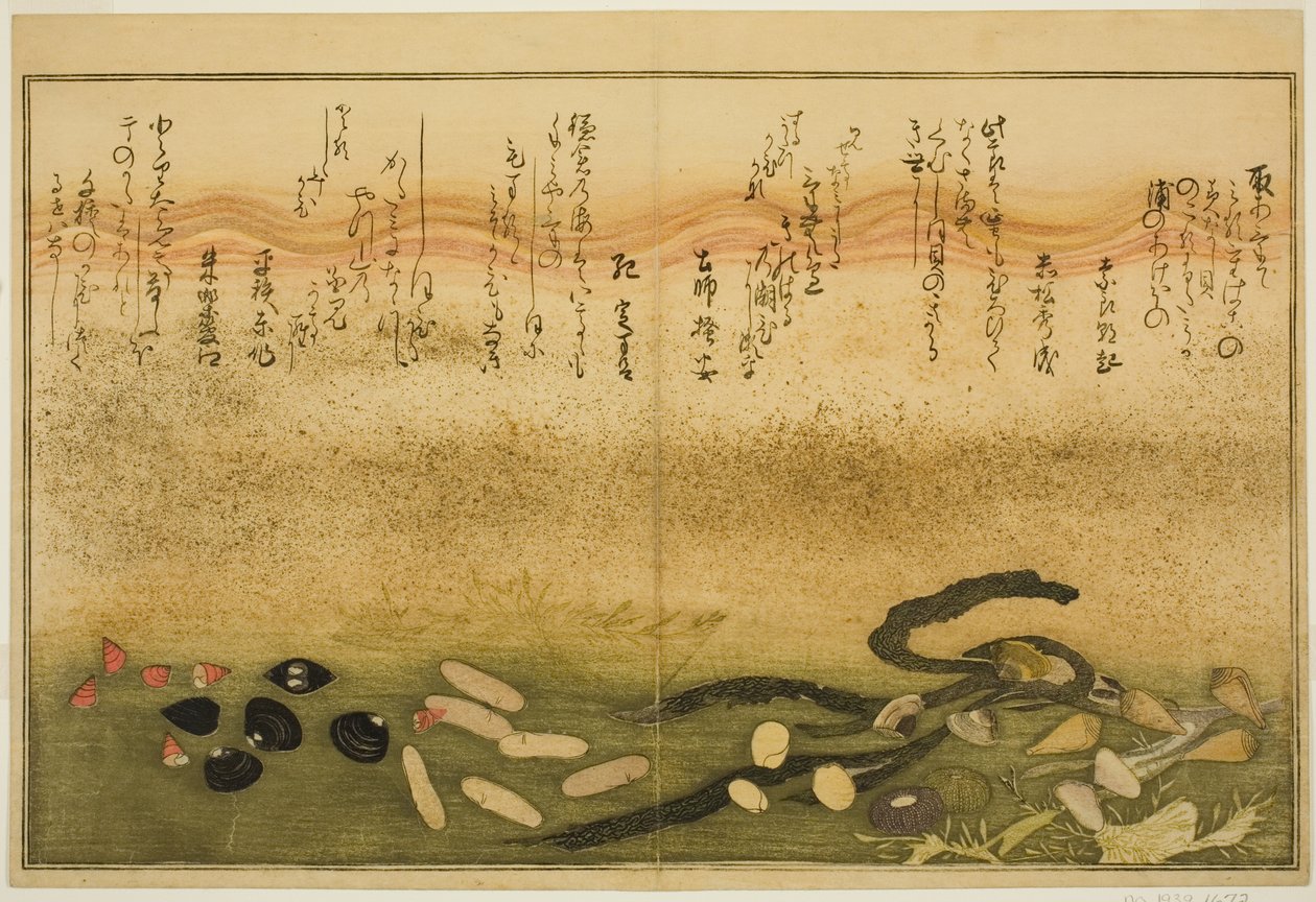 Minashi-gai, shio-gai, katatsu-gai, miso-gai, chijimi-gai, and chigusa-gai, from the illustrated book 