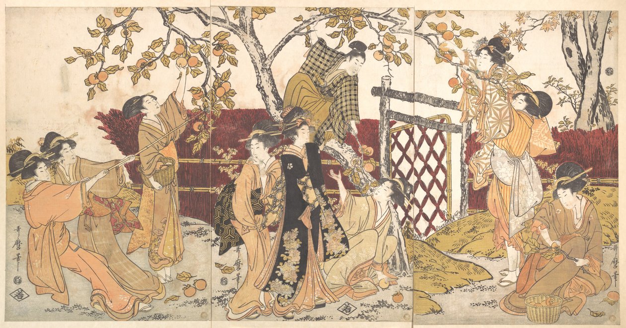 Picking Persimmons by Kitagawa Utamaro