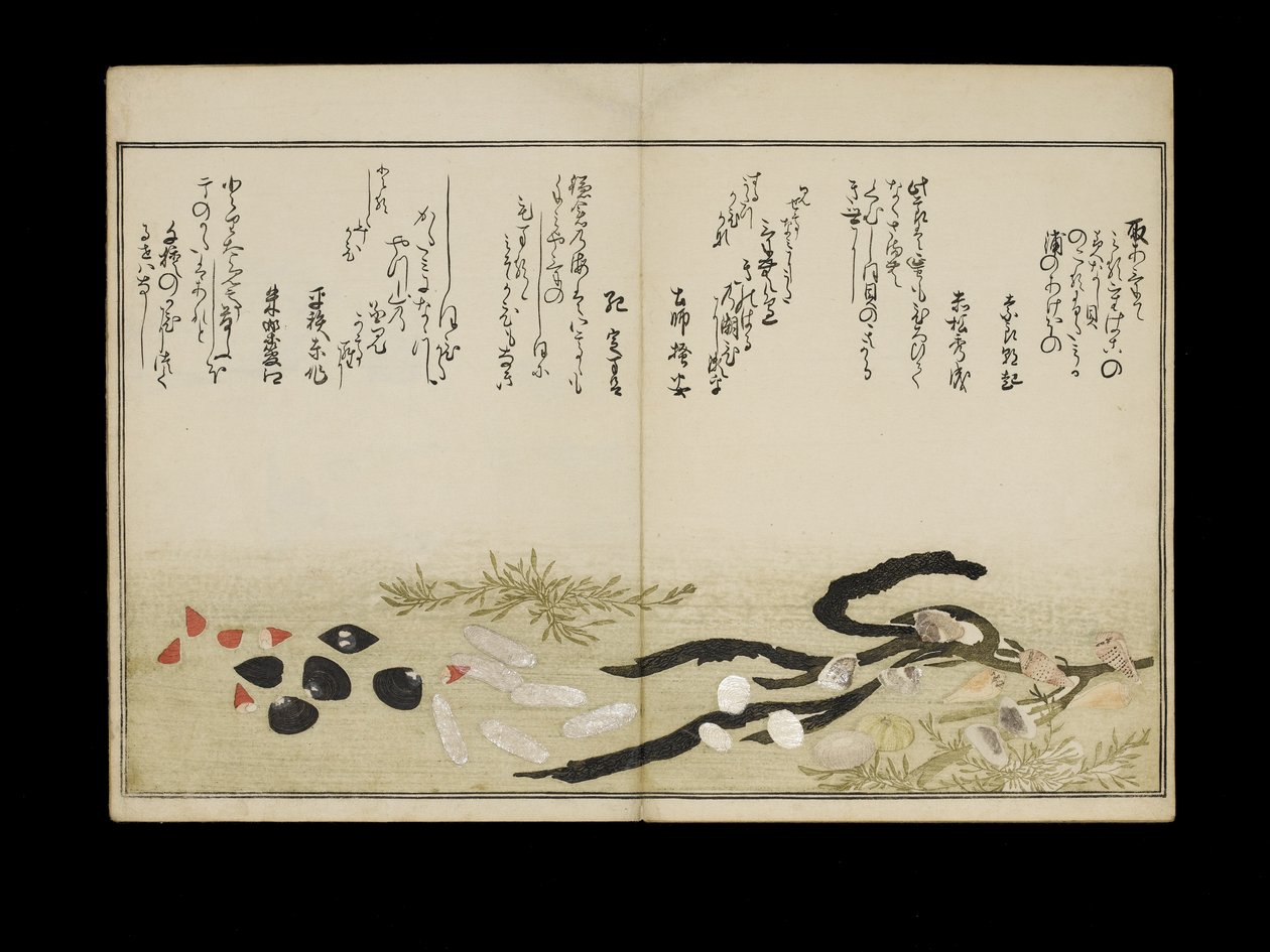 Shiohi no tsuto (Gifts from the Ebb Tide), known as the Shell Book, 1789 by Kitagawa Utamaro
