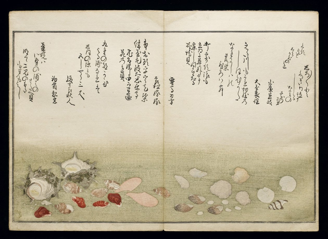 Shiohi no tsuto (Gifts from the Ebb Tide), known as the Shell Book, 1789 by Kitagawa Utamaro