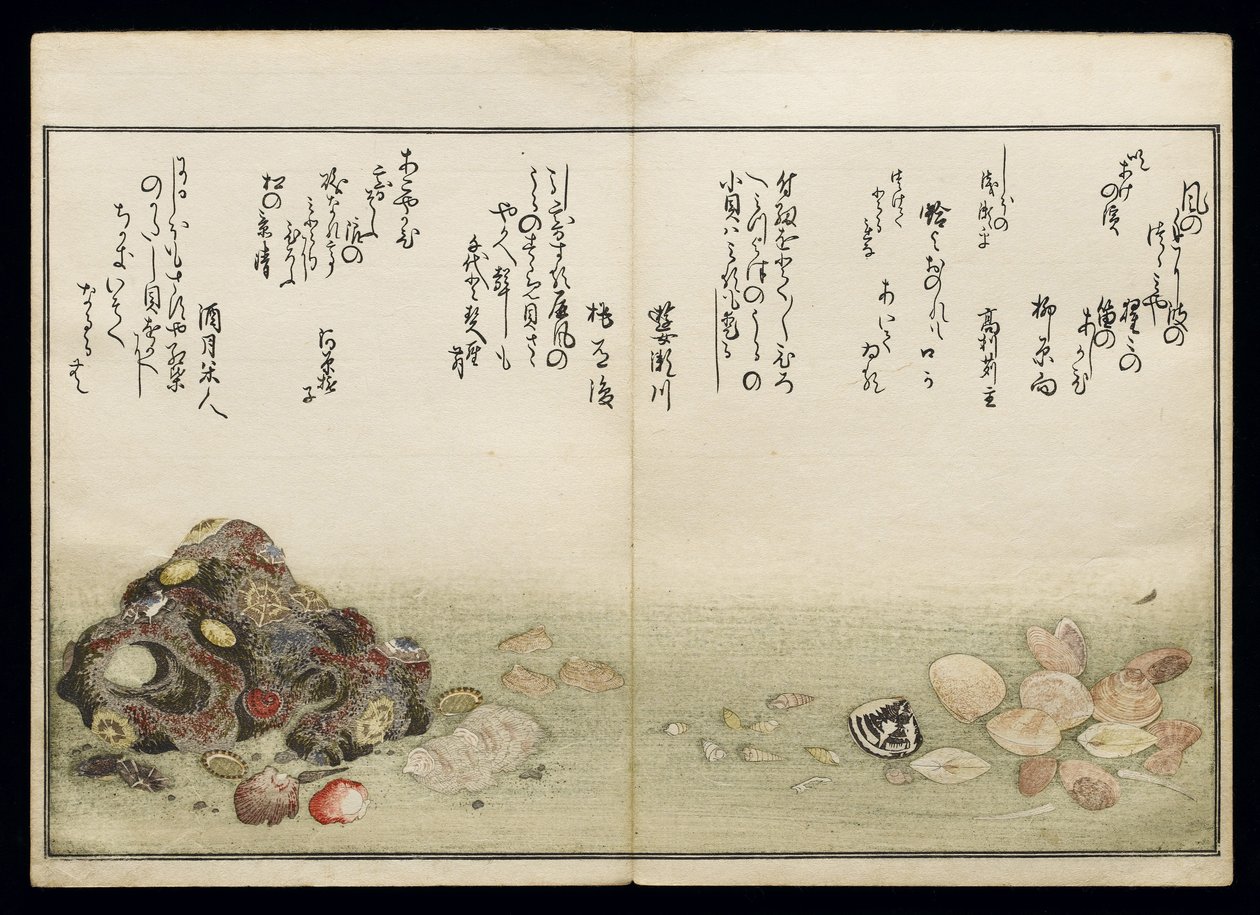 Shiohi no tsuto (Gifts from the Ebb Tide), known as the Shell Book, 1789 by Kitagawa Utamaro