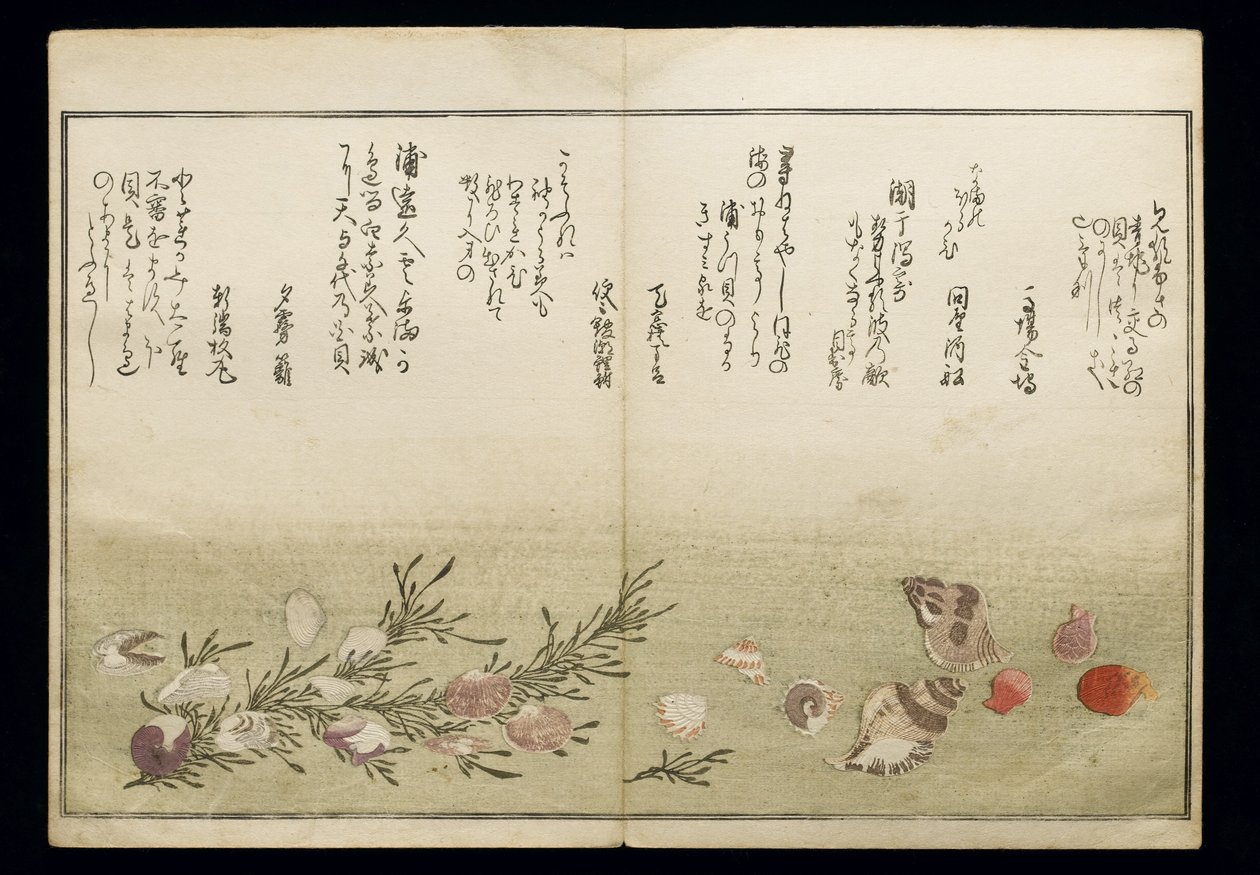 Shiohi no tsuto (Gifts from the Ebb Tide), known as the Shell Book, 1789 by Kitagawa Utamaro