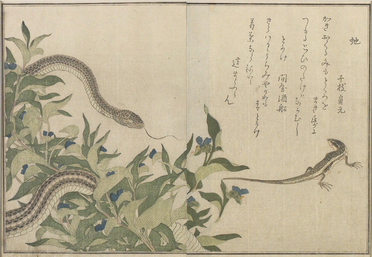 Snake and Lizard by Kitagawa Utamaro