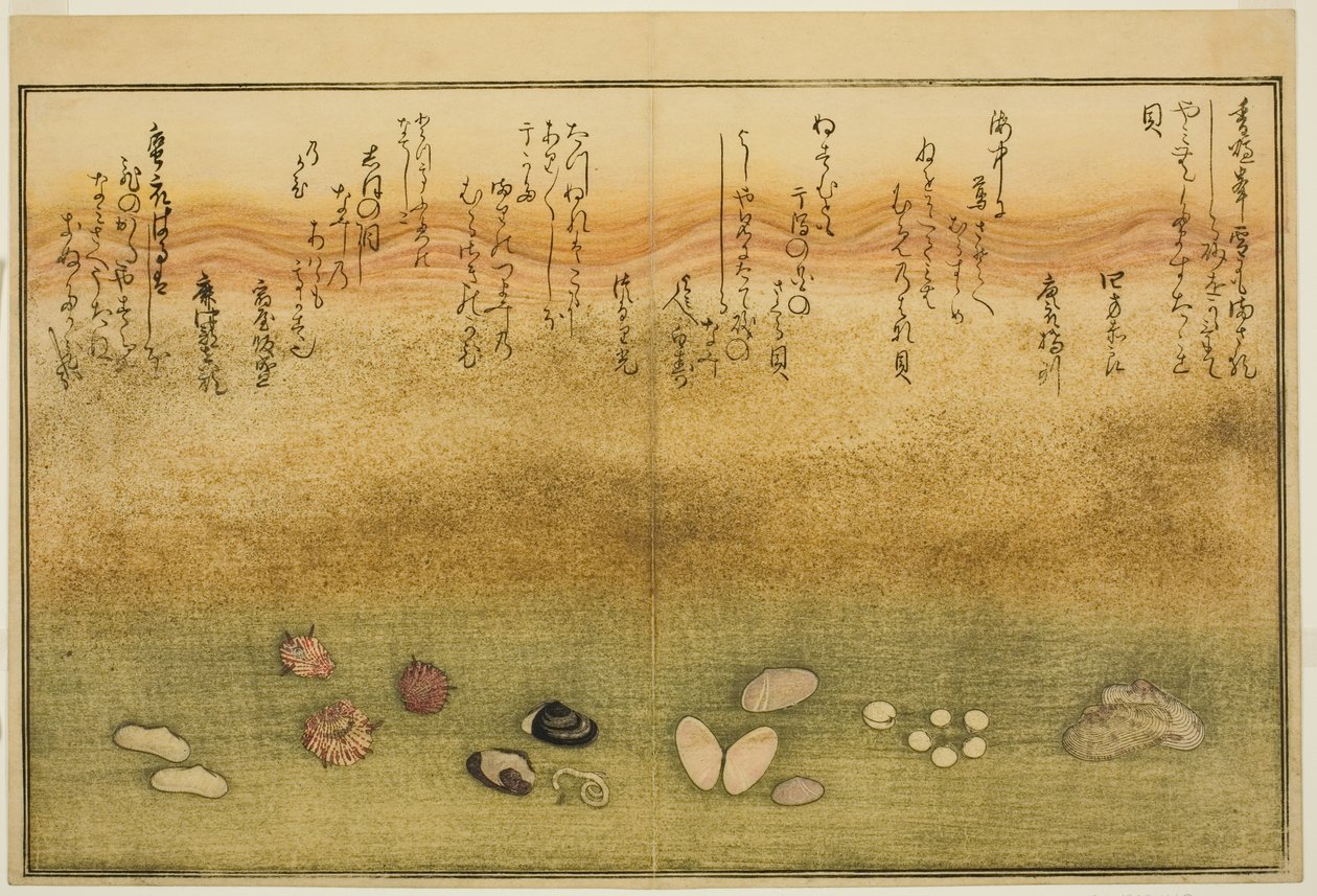 Sudare-gai, Hana-gai, Sakura-gai, Mumeno-gai, Nadeshiko-gai, and Kinuta-gai, from the Illustrated Book "Gifts from the Ebb Tide" by Kitagawa Utamaro